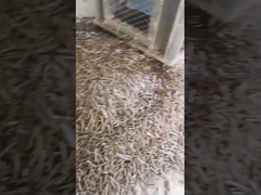 건강미는 곤포기와 수직 펠릿 밀 5Ton/H 생물자원 고리형 형타 팰릿기의 껍질을 벗깁니다