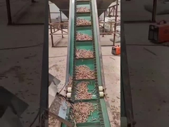 50HZ 반지는 기계 450-700mm를 만드는 목제 펠릿 기계 3단계 수직 펠릿 죽습니다