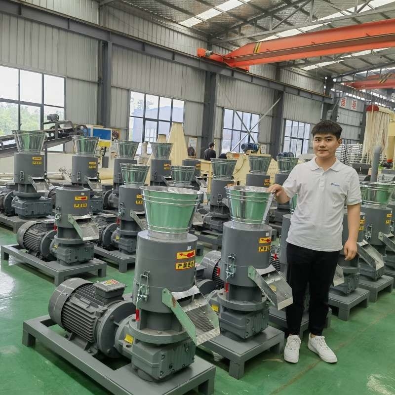 CE 증명서와 평평한 다이 300-800kg /H 생물자원 목제 펠릿 공장  톱밥 팰릿기