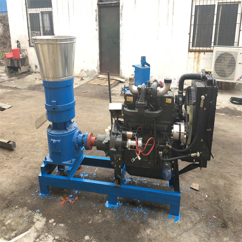가금류 먹이 펠렛 밀 머신 펠렛 밀 머신 펠렛 만드는 머신 가구 15HP 2200r/M