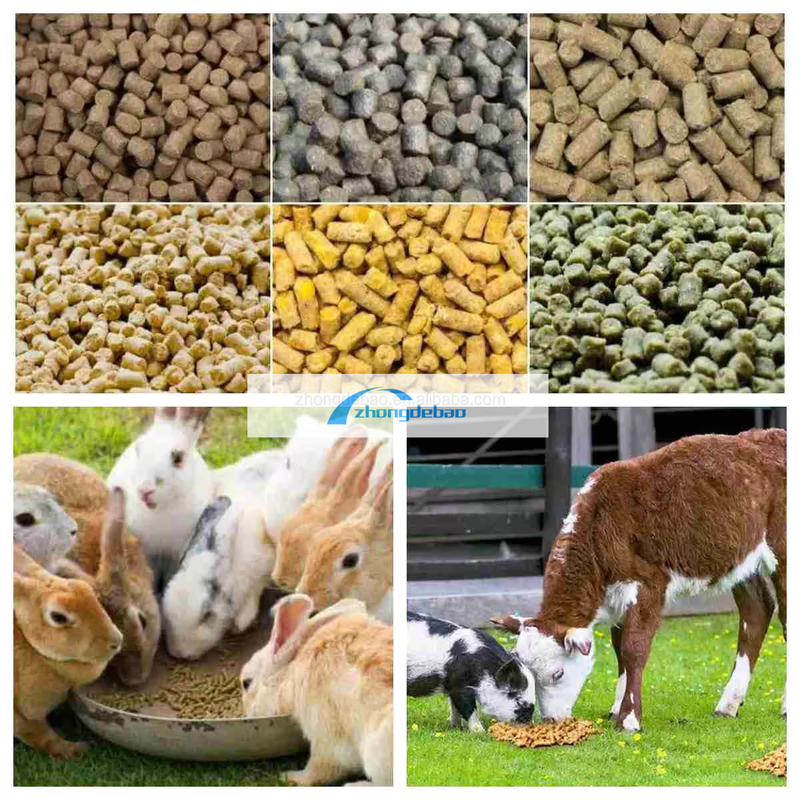 새로운 세대의 동물 사료 제조 기계 물고기 사료 펠렛 기계 90-120 KG/H 사료 펠렛 공장
