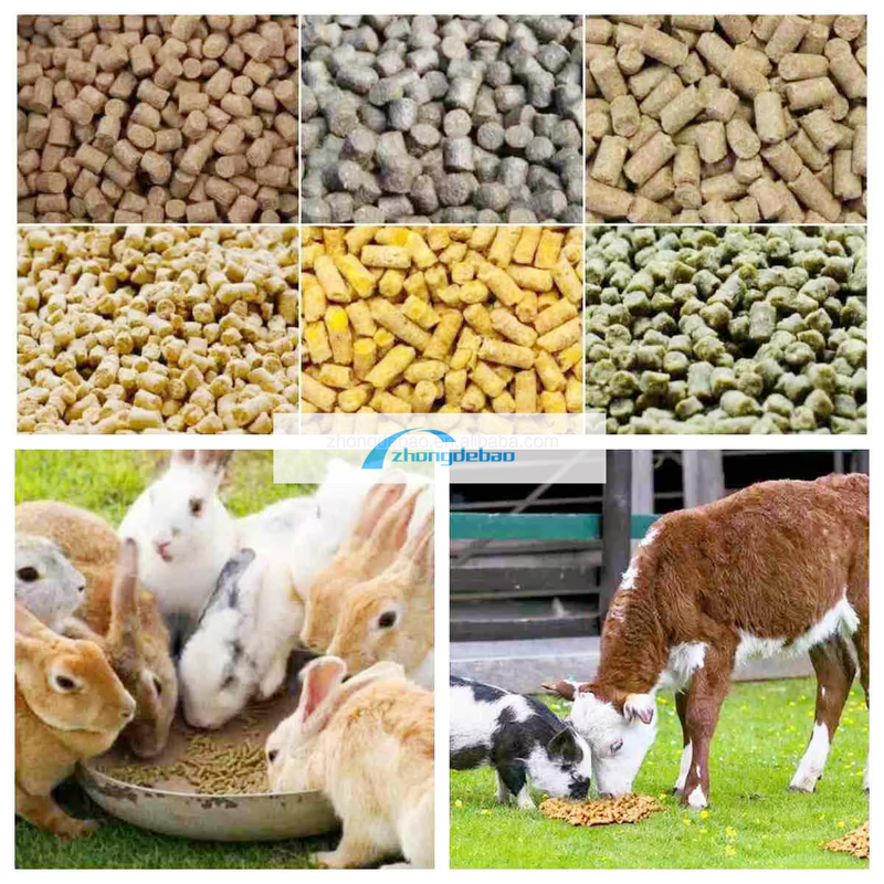 600-800 KG/H 출력 생선 동물 사료 공장 개와 고양이 사료 펠렛 장비 식품 추출기 펠레티제 기계