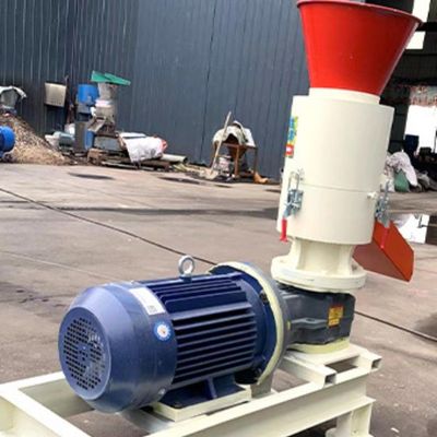 프로페셔널 펠렛 밀 머신 대용량 바이오매스 연료 생산